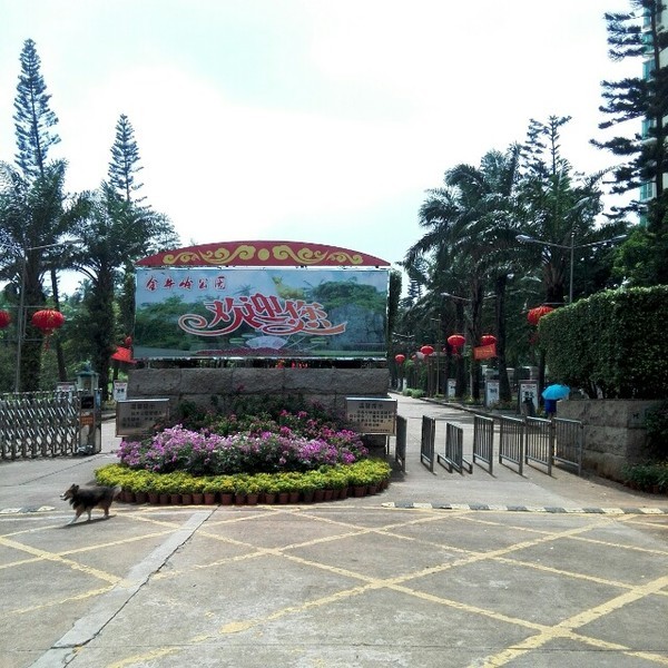 海口悠闲之旅深度体验椰城风情,椰海风情海口