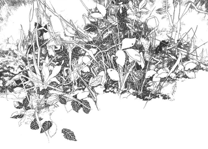 外国艺术家看中国水墨画,外国艺术家看中国画