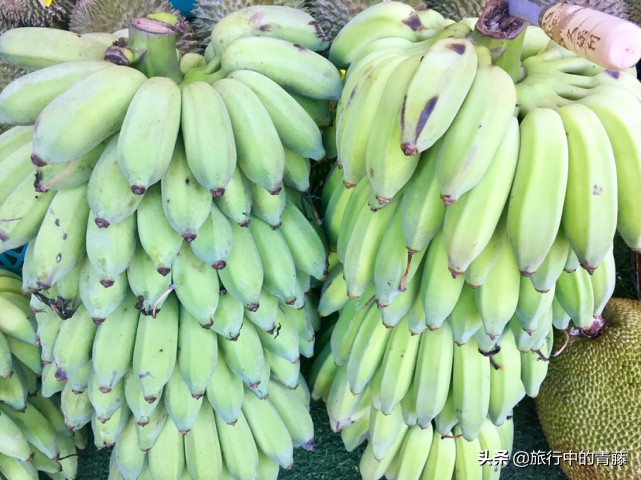 西双版纳热带雨林有什么水果,西双版纳现在有啥好吃的水果