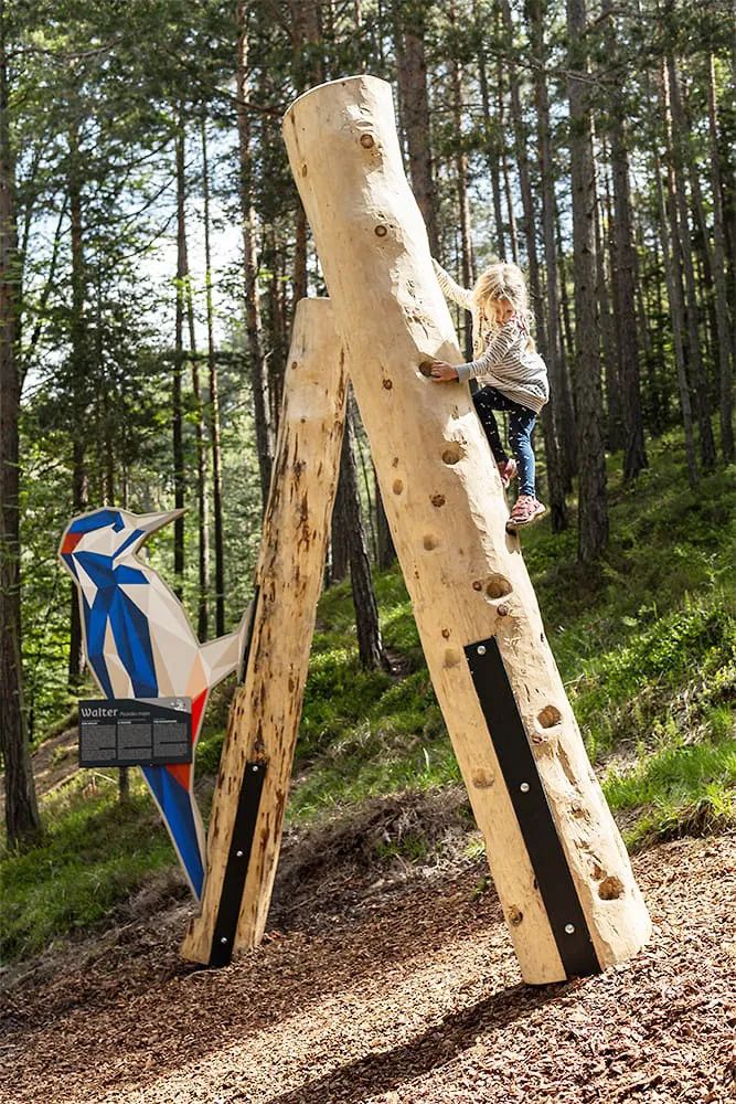 萌宠上阵，整个空间都奇趣了！