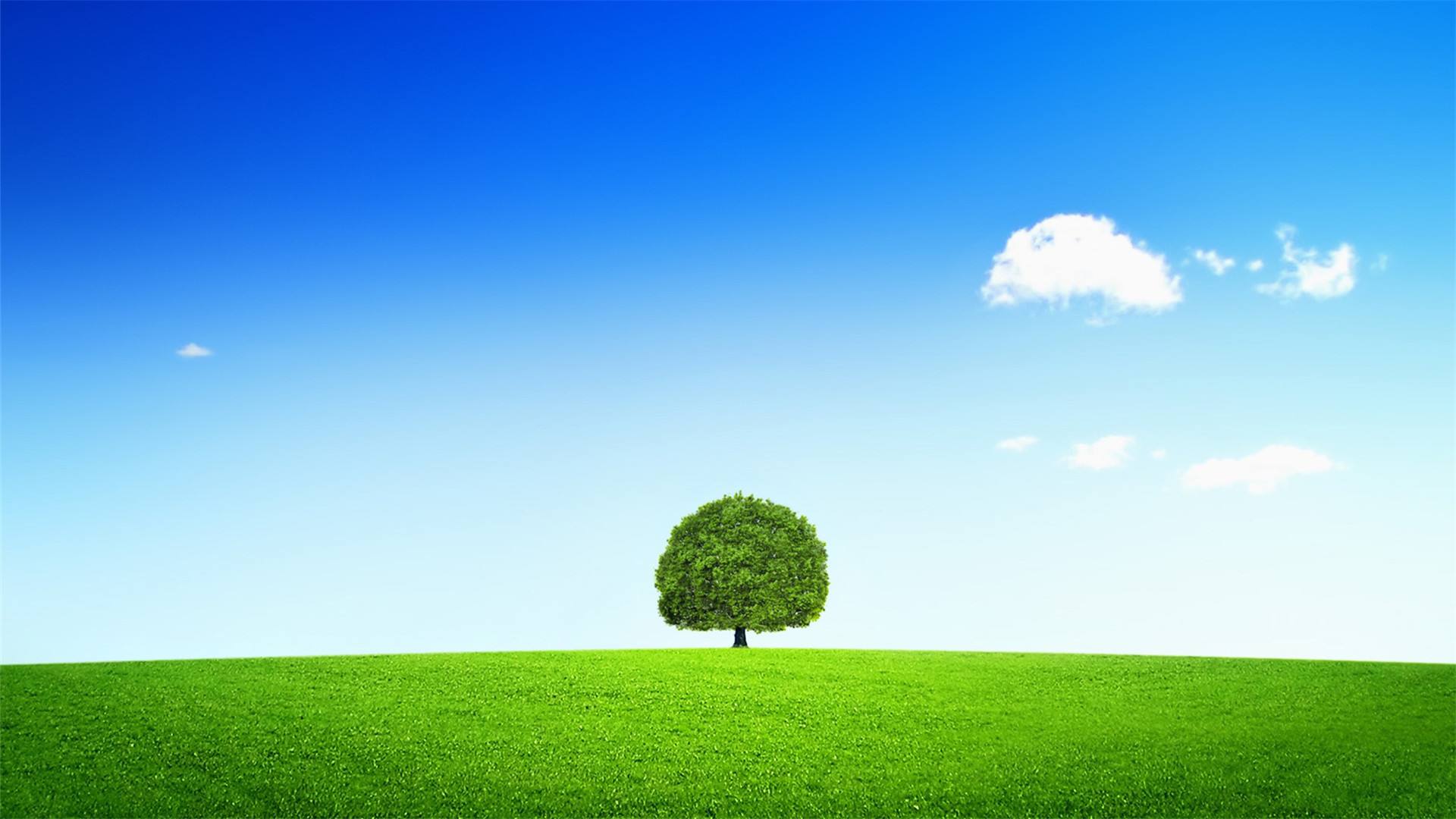 思想政治理论课价值引领,办好思想政治理论课最关键的是