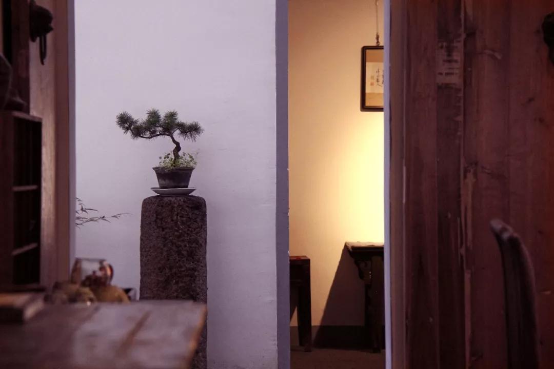 小隐在山林大隐在市井,大隐何曾避闹市