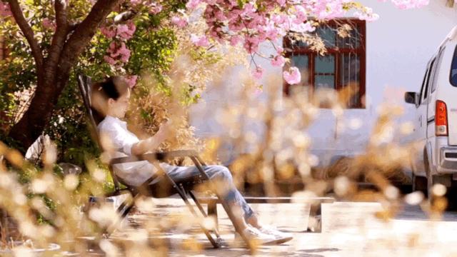 汉中周边踏青的好地方有哪些,汉中乡村游秘境