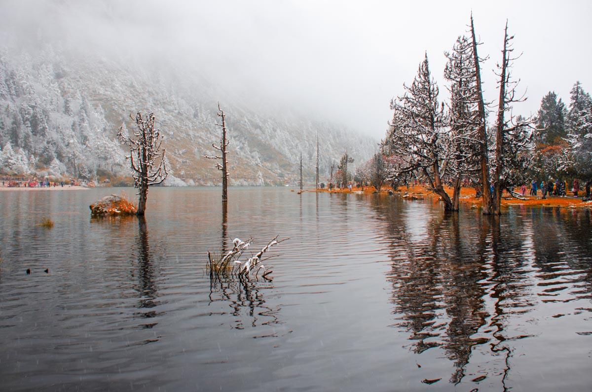 有一种美叫九寨沟,有一种美丽叫若尔盖