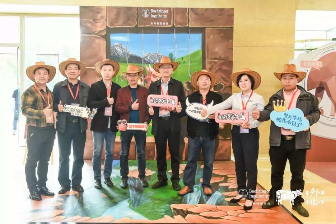 这一次，风口上站的是肉牛