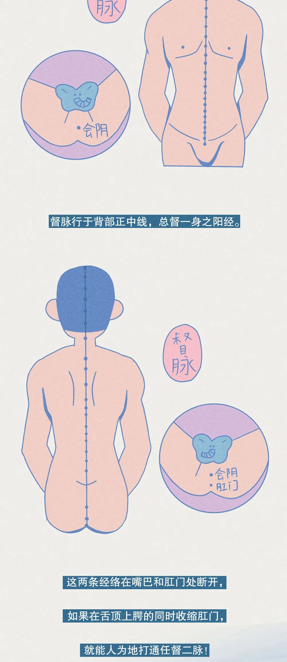 提肛运动的正确做法,提肛有什么好处