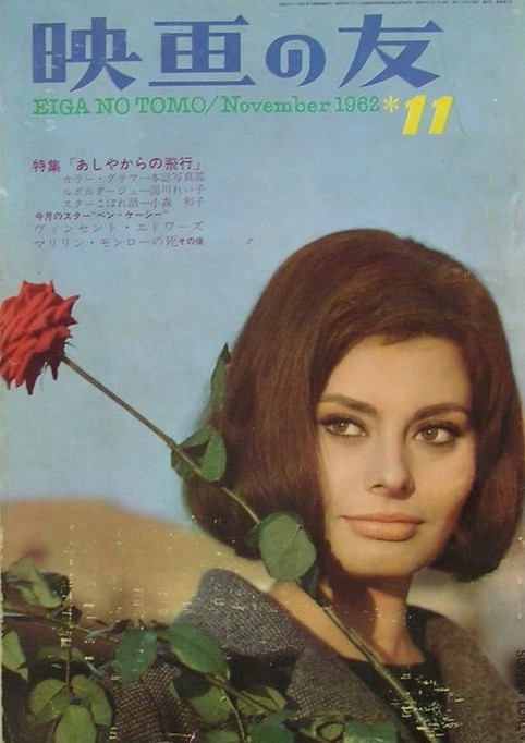 索菲亚罗兰女性特征,索菲亚罗兰年轻时的样子