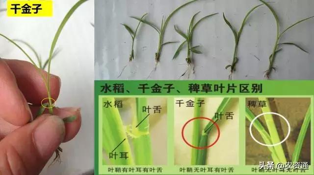 <html>
<head><title>502BadGateway</title></head>
<body>
<center><h1>502BadGateway</h1></center>
<hr><center>nginx</center>
</body>
</html>
<!--apaddingtodisableMSIEandChromefriendlyerrorpage-->
<!--apaddingtodisableMSIEandChromefriendlyerrorpage-->
<!--apaddingtodisableMSIEandChromefriendlyerrorpage-->
<!--apaddingtodisableMSIEandChromefriendlyerrorpage-->
<!--apaddingtodisableMSIEandChromefriendlyerrorpage-->
<!--apaddingtodisableMSIEandChromefriendlyerrorpage-->
