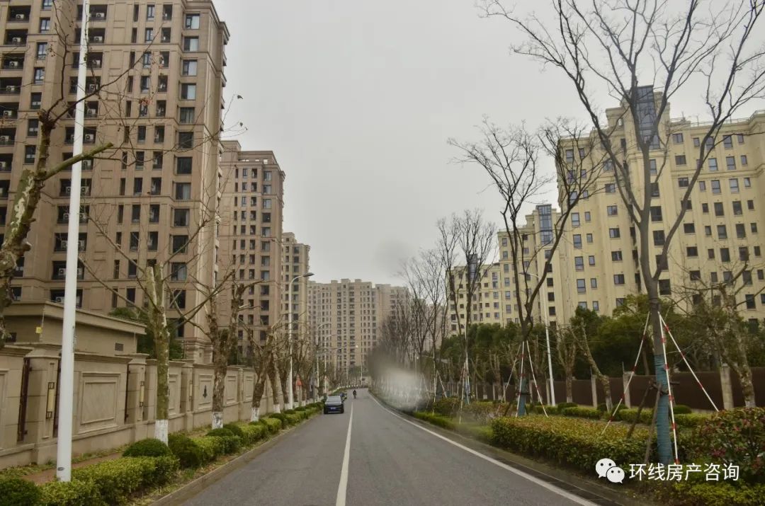 唐镇真的存在吗,唐镇为什么那么贵