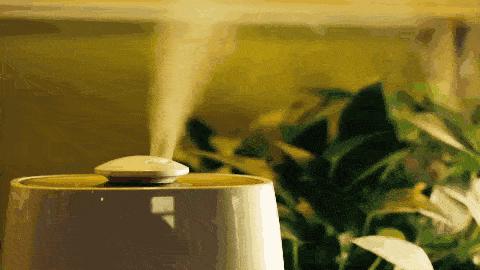 协和蒋子栋：教您如何安全度过鼻塞、鼻痒、涕流不止的过敏高发季