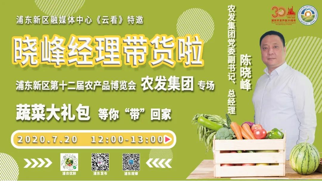 上海浦东新区川沙镇镇长,上海浦东新区川沙新镇党委书记