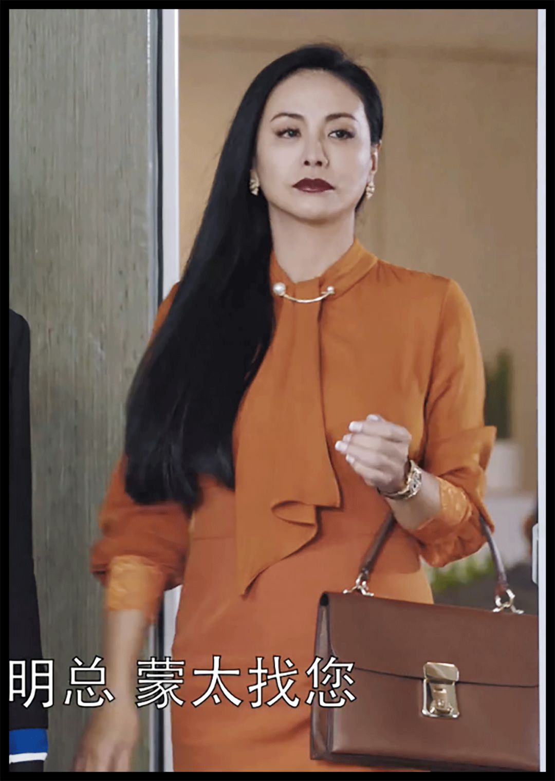 苏家女人买东西,苏家女士包包