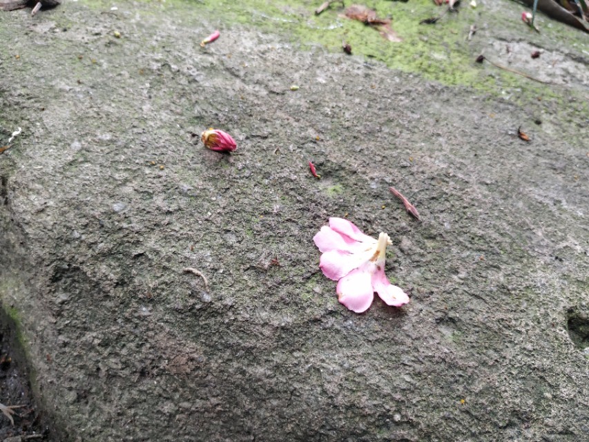 杭州古城门全景图,杭州十大古城门一日游