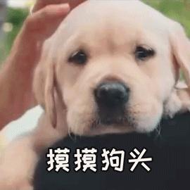 七夕节送礼指南,七夕佳节礼物推荐