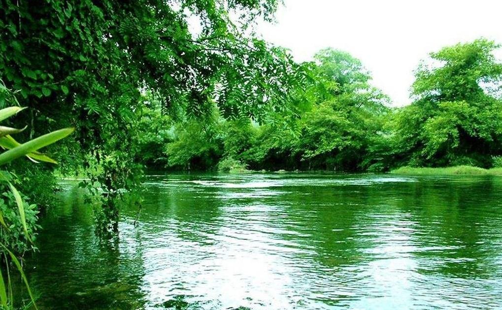 绿水养金鱼好还是清水养金鱼好,用什么水养金鱼最好