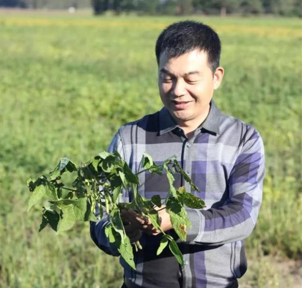 从煤矿工人转行专注卖豆腐，河南豆腐哥李胜利一辈子专注一件事