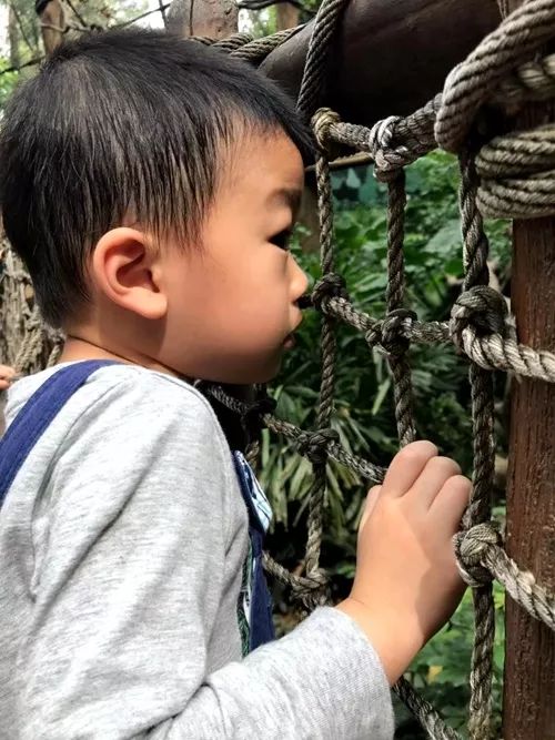 带娃广州长隆2天1夜旅游攻略,带娃自由行长隆旅游攻略