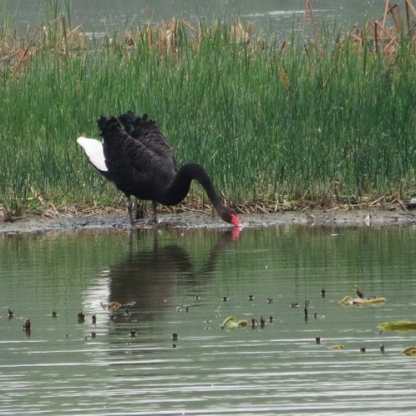 昆明水源地风景区,昆明最好的水源地