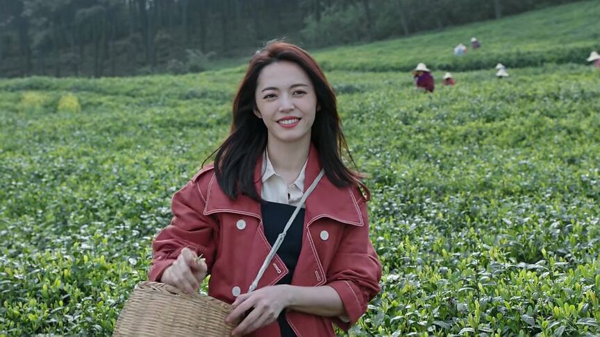 都挺好旅游景点大全,都挺好拍摄地成网红打卡点