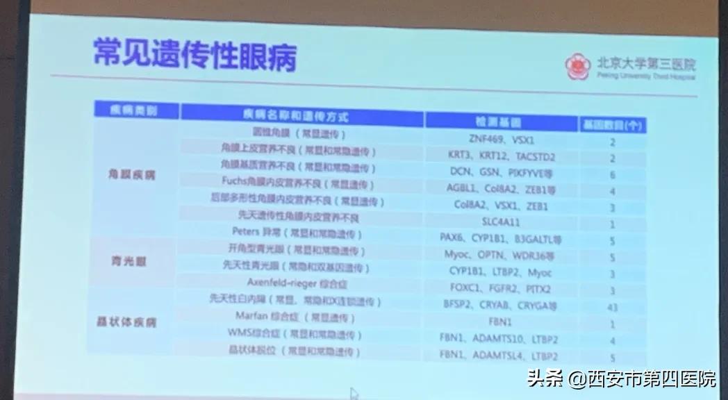 2023全国眼科学术大会直播,2023年全国眼科联盟学术峰会
