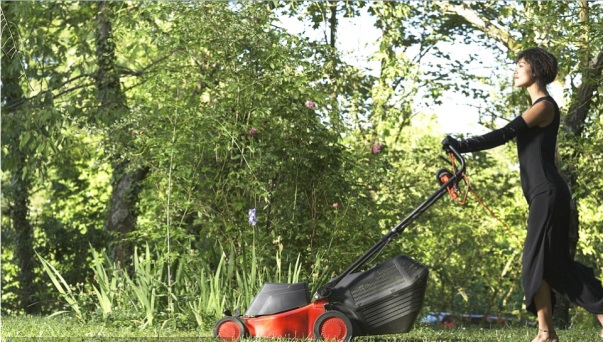 分析大趋势与时俱进，让你在园林工具行业立于不败之地