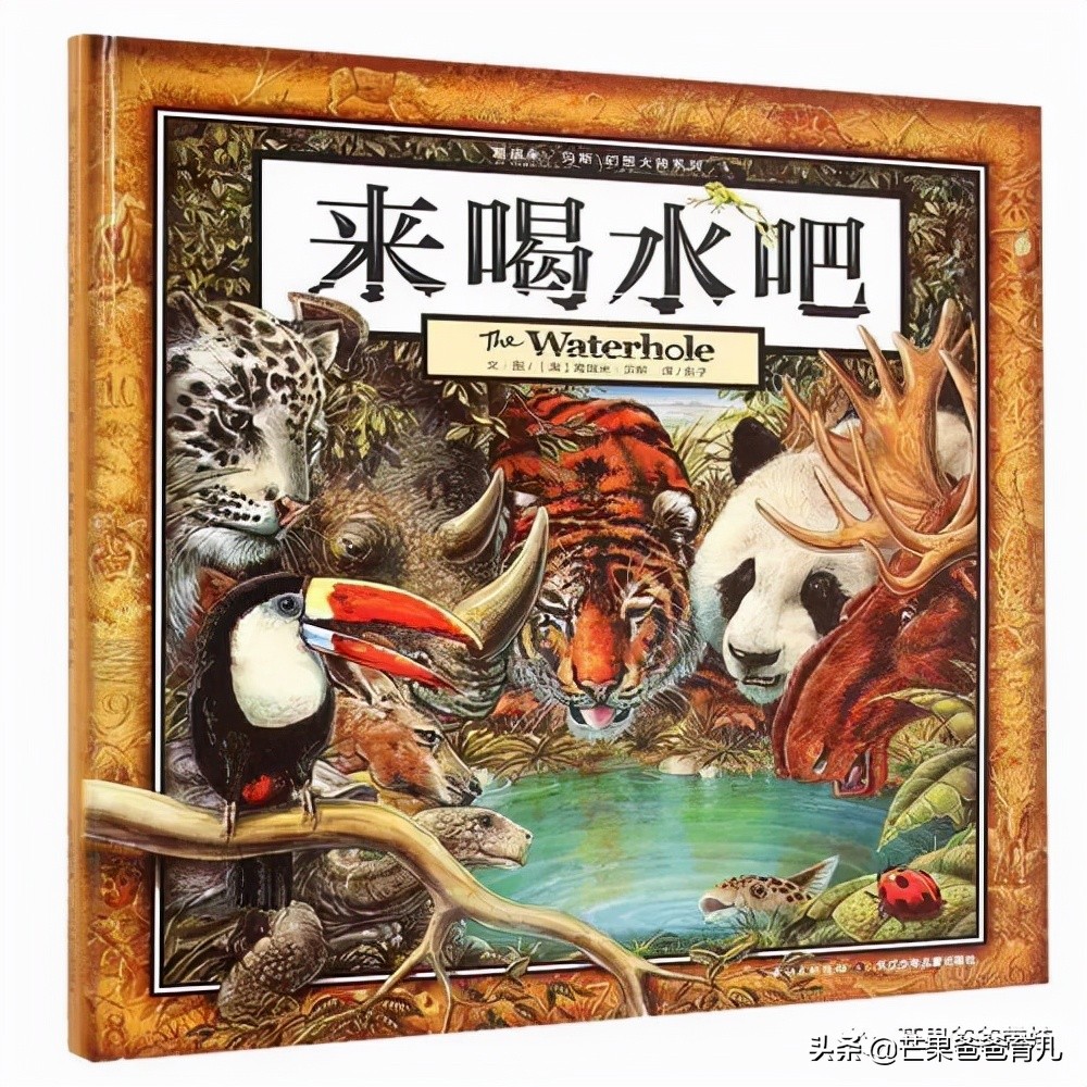 幼儿园推荐的100本绘本,适合幼儿园老师看的绘本