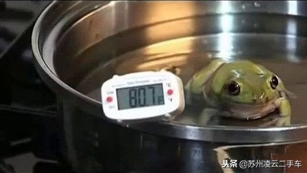 有哪些温水煮青蛙的营销案例,二手车车贷按揭套路