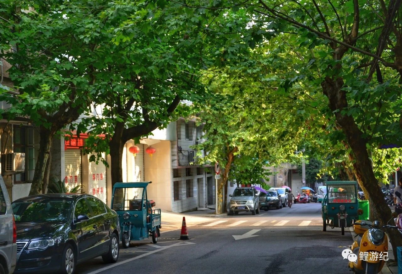 七月与安生拍照,七月与安生电影取景大学