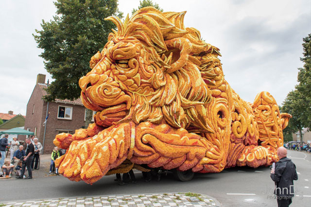 荷兰国王访问瑞典,荷兰国王50周年庆典