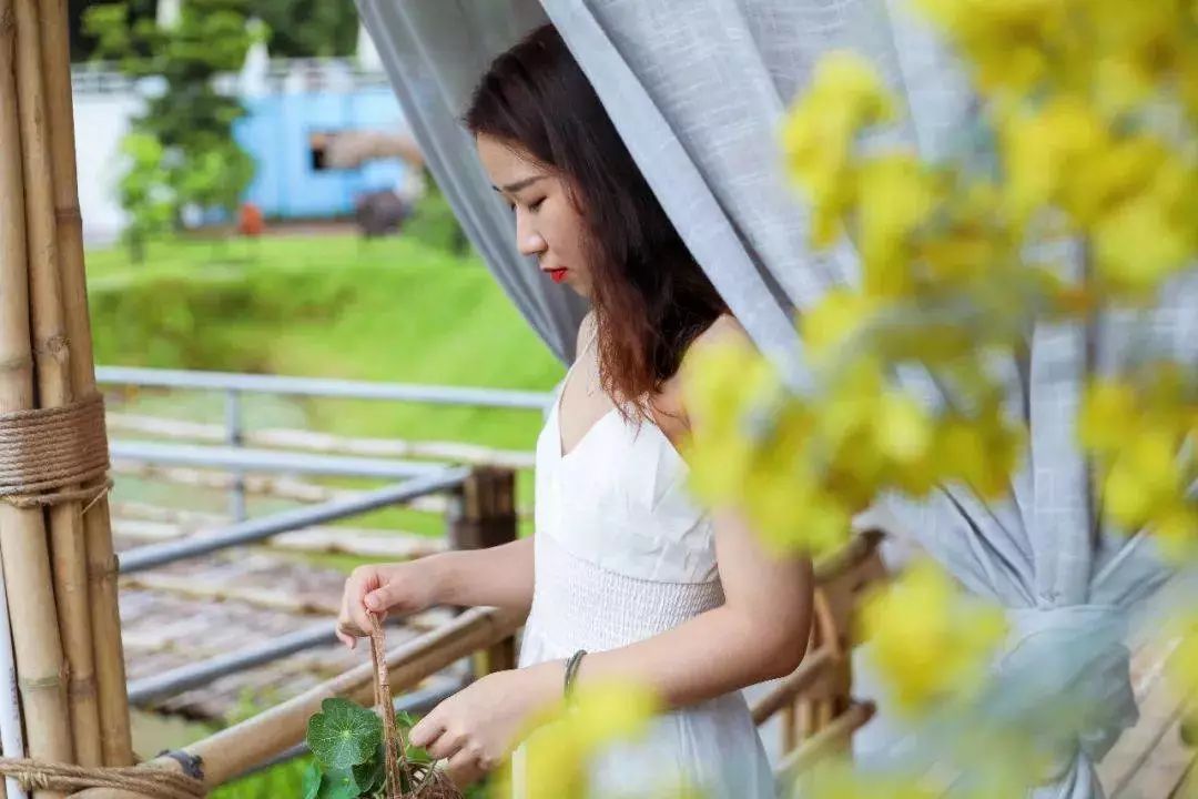 藏于稻田竹海中的增城轻奢民宿,广州增城中新镇三天两夜民宿推荐