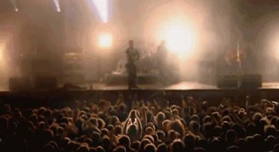 鸡头放摄像头视频,鸡头上装摄像机