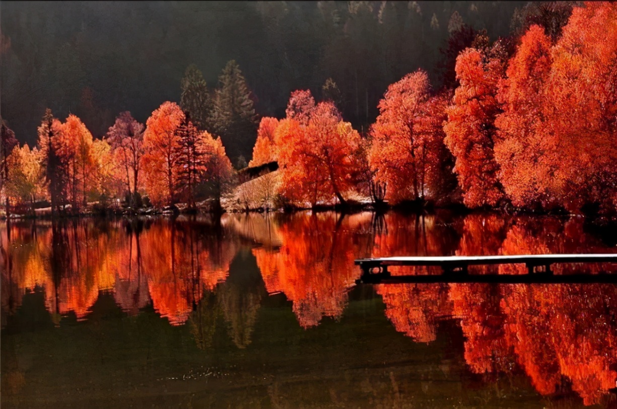 交易中的假象,本次交易存在欺诈行为如何解决