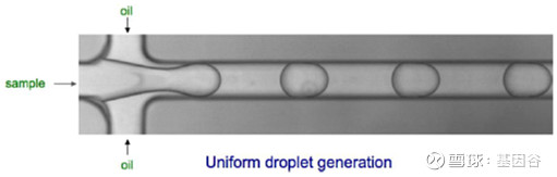 全场硬菜!分子诊断技术全解析
