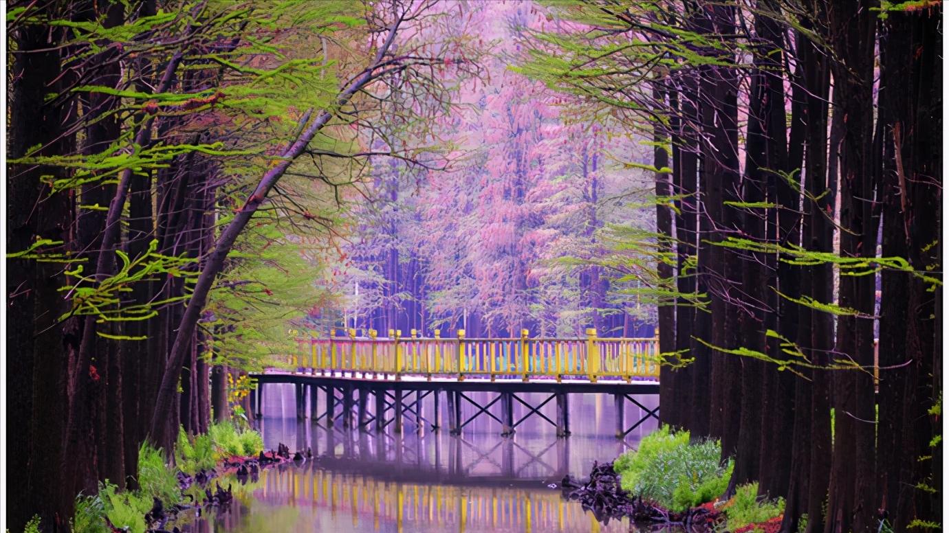 江苏省泰州市区域划分图,江苏泰州市属于华南还是华东