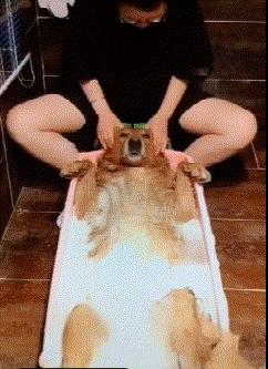 事实证明太瘦的女人容易出事,女朋友太瘦了是什么体验