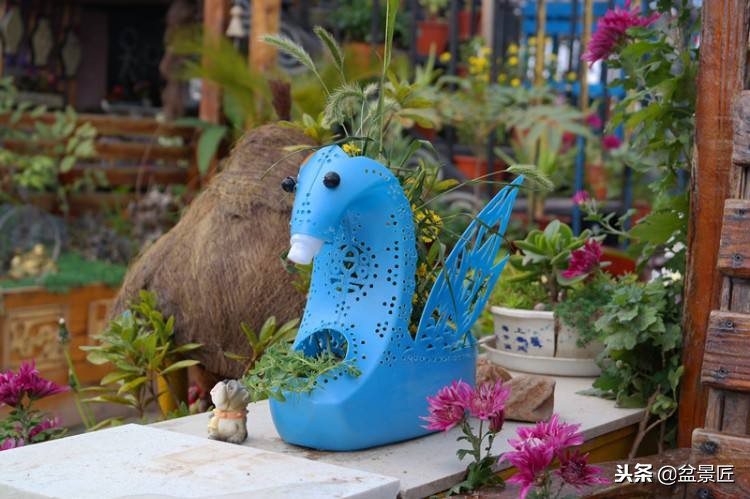 废物改造花盆绿植,旧物改造吊兰花盆