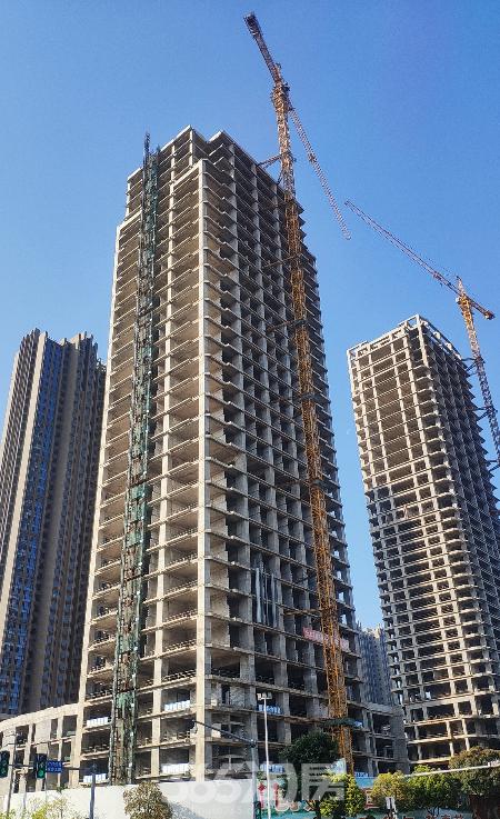 利嘉集团陈隆基儿子澳门输几十亿,利嘉集团董事长陈隆基有几个兄弟