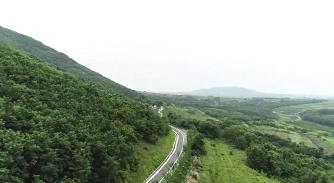 青岛文艺复古小众的地方,浪漫又文艺