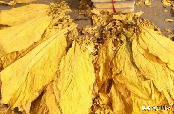 烟草公司收购烟叶的账务处理,烟叶收购税务计算