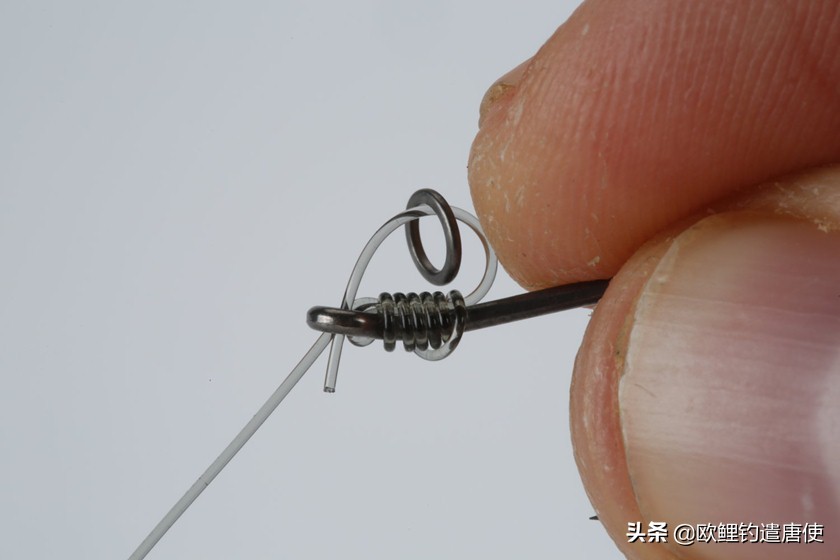 话说欧鲤钓最新消息,话说欧鲤钓鱼完整版