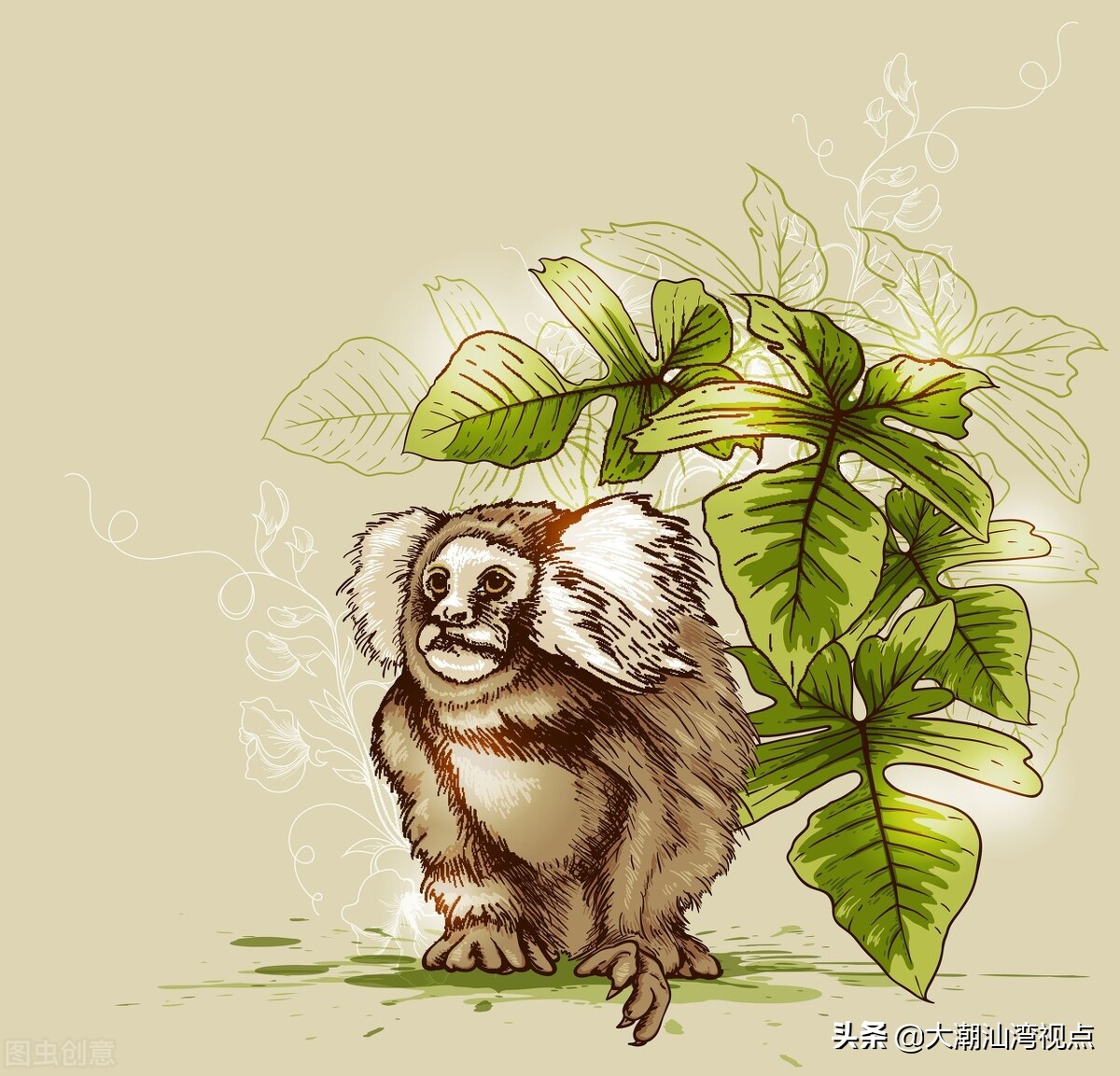 潮汕皮猴文化,潮汕方言猴