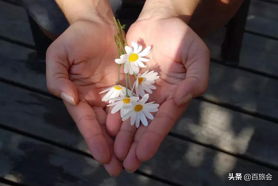 震惊的网购经历,日本90年代疯狂代购