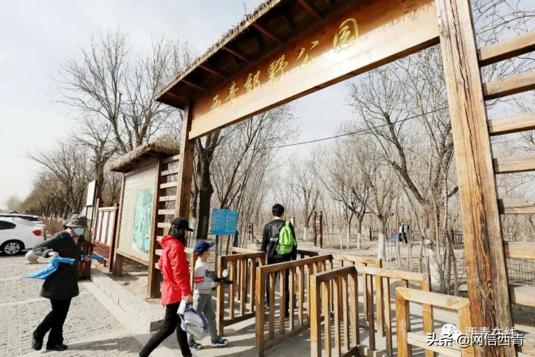 天津12座公园建成开放,2020天津已开放的郊野公园