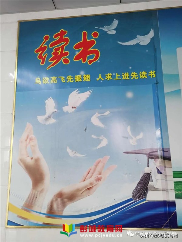 徐州市启星外语学校,徐州启星外国语学校小学部