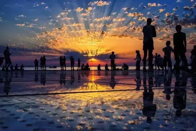 cips宠物展华元宠物用品有限公司,cips宠物展直播