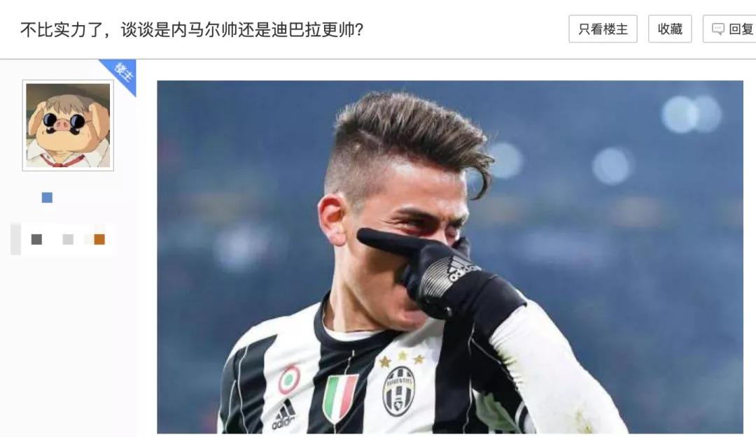 动物森友会怎么正常生活,动物森友会有哪些小动物会吵架