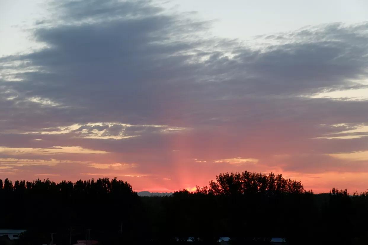 如何提高自己感知幸福的能力,我拥有了感知细碎幸福的能力