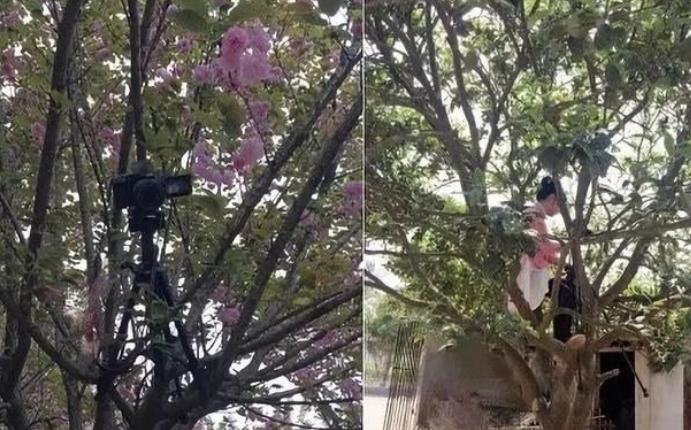 李子柒一岁辍学,李子柒七岁辍学31岁身价过亿