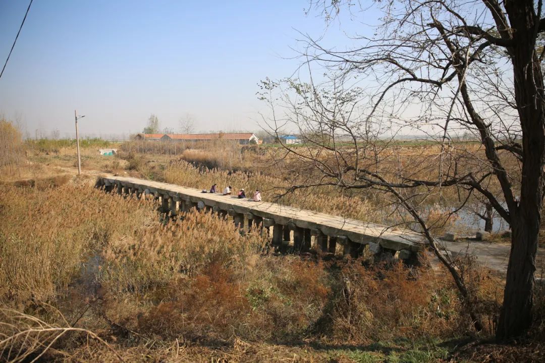 高密作协田野考察（三）乐者电子商务，迎乐科技发布