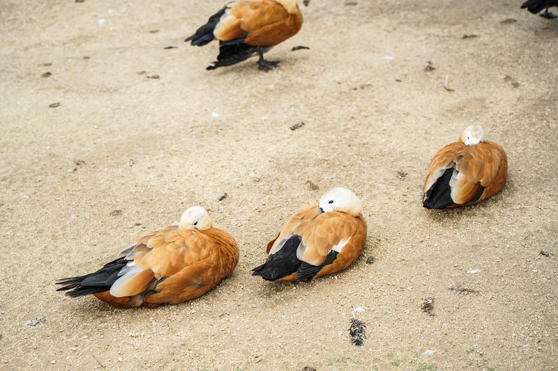 山东周边游2天1夜小众,5.1山东五日游